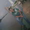 wilzwily