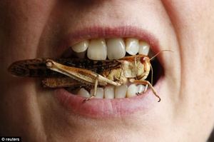If You Eat Insects, You Can Fight Obesity, World Hunger And Global warming