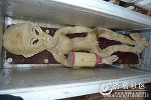 "I Have An Electrocuted Alien In My Freezer"